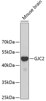 CAB2885.jpg