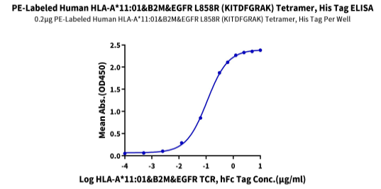 PE标记人类HLA-A*11:01&B2M&EGFR L858R(KITDFGRAK)四聚体蛋白