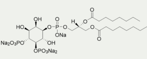 [干冰]PI(4,5)P2 diC8