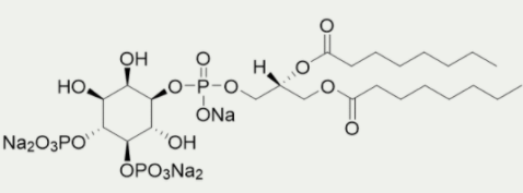 [干冰]PI(4,5)P2 diC8