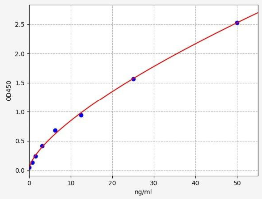 CNFI00011.jpg