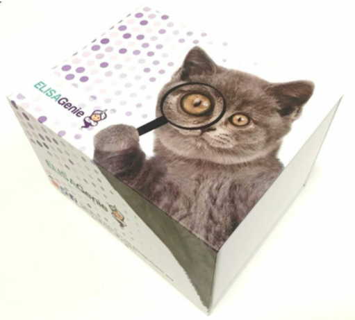 HUDL02751.png