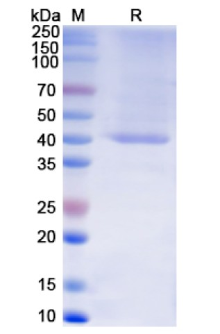 abx620100.png