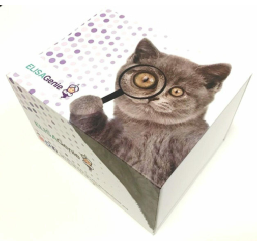 MODL00179.png