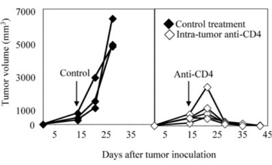 CD4.png