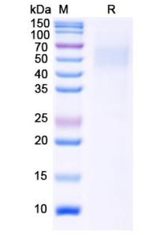 abx620113.png