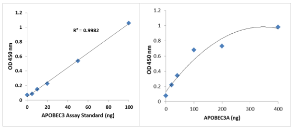 Epigenase APOBEC 3胞苷脱氨酶活性/抑制测定试剂盒