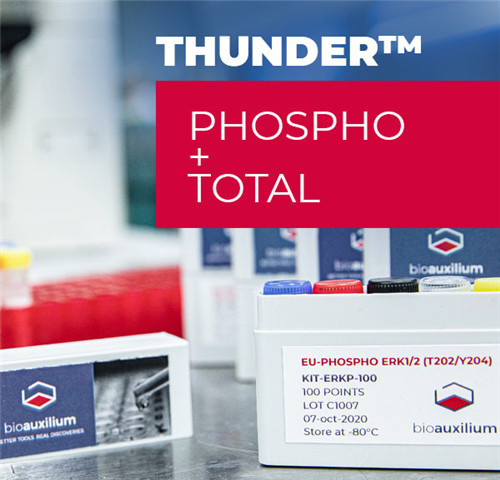 KIT-4EBP1PT-500.jpg