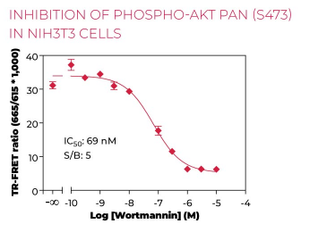 KIT-AKTS473P-100-1.png