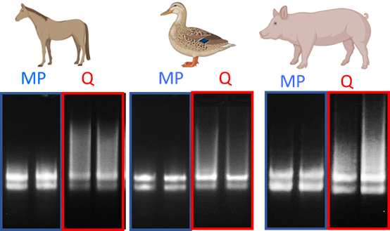 116555050-2.png