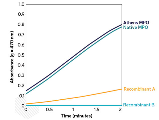 Athens MPO-1.png
