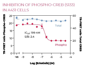 KIT-CREBPT-500-2.png