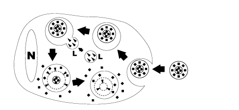 CP-005-005-2.png
