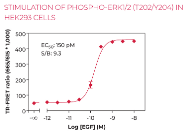 KIT-XTM-ERKP-100-1.png
