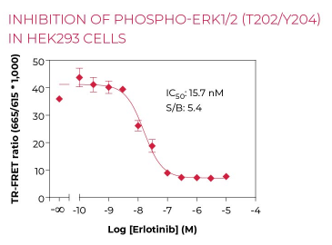 KIT-ERKP-100-2.png