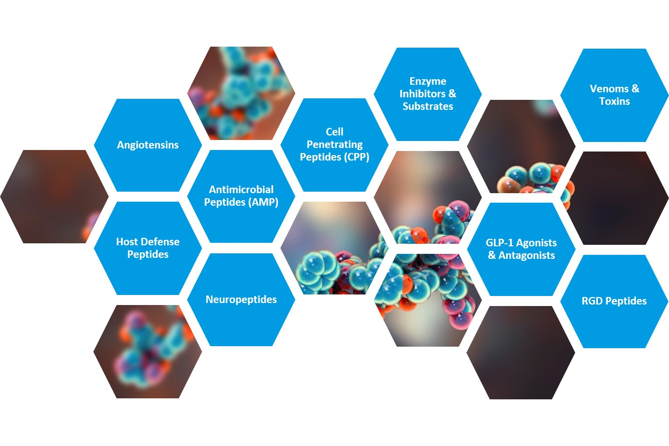 bioactive-peptide.png