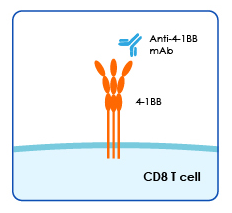 Zhang L, et al.png