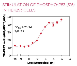 KIT-P53P-100-1.png
