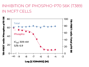 KIT-P70S6KT-100-2.png