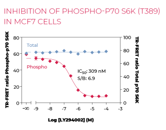 KIT-P70S6KPT-500-2.png