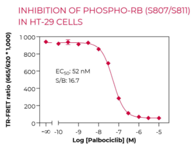 KIT-RBS807P-100-1.png