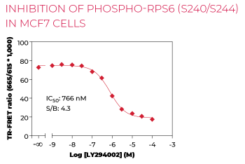 KIT-RPS6BP-100-2.png