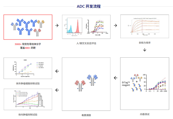 ADC-1.png