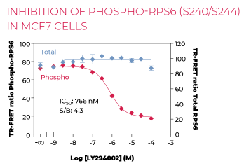 KIT-RPS6BPT-500-2.png