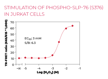 KIT-SLP76P-100-3.png