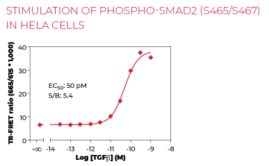KIT-SMAD2P-100-1.png