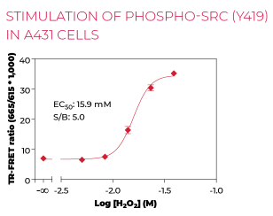 KIT-SRCP-100-1.png