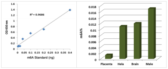 MethylFlash? m6A DNA 甲基化 ELISA 试剂盒（比色法）
