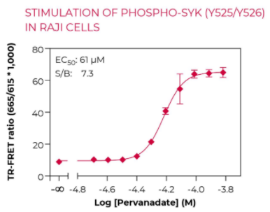 KIT-SYKP-100-1.png
