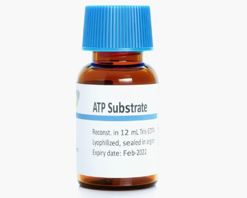 ATP底物
