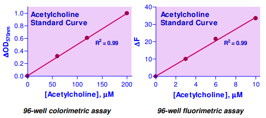 EACL-100.png