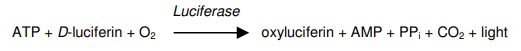 EADP-100.png