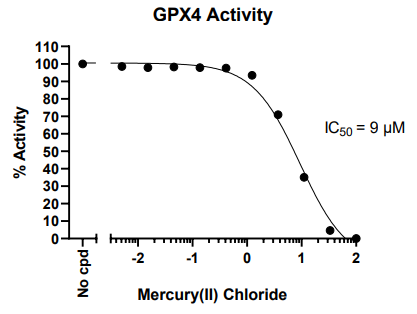 GPX4荧光检测试剂盒：