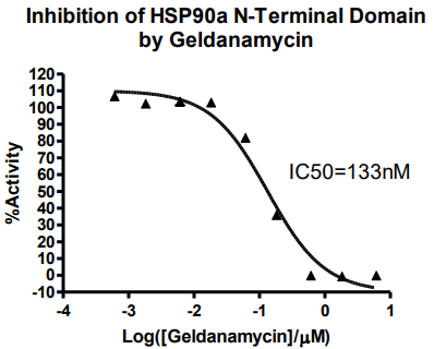 HSP90αN端结构域检测试剂盒