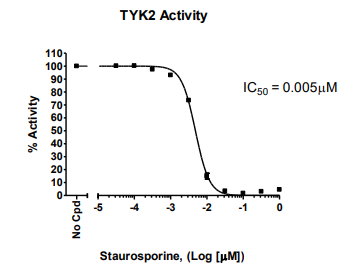 TYK2（酪氨酸激酶 2）检测试剂盒