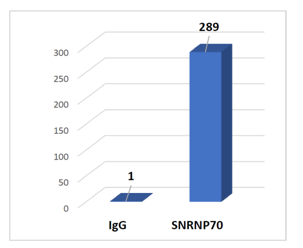 P-2037-2.png
