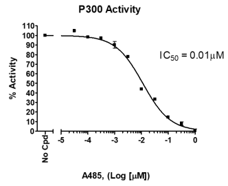 P300化学发光检测试剂盒