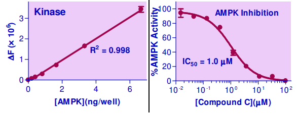 EKIN-400.png