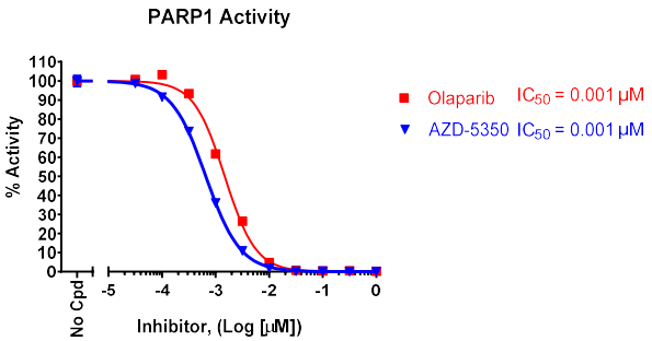 PARP1化学发光检测试剂盒（384孔）