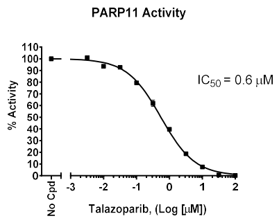 PARP11化学发光检测试剂盒