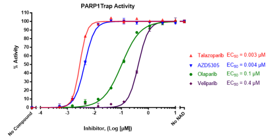 PARPtrap -PARP1和PARP2联合检测试剂盒