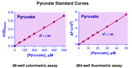 EPYR-100.png