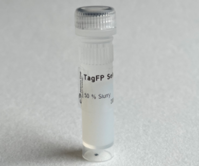 TagFP选择器
