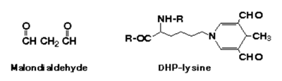 抗MDA单克隆抗体（1F83）