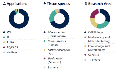 过氧化物酶标记AffiniPure山羊抗小鼠IgG(轻链特异性)抗体