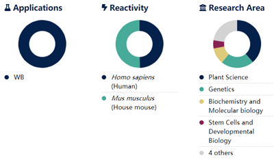碱性磷酸酶偶联IgG组分单克隆小鼠抗地高辛